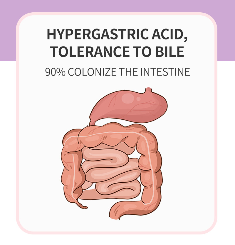 益生菌生產(chǎn)企業(yè)